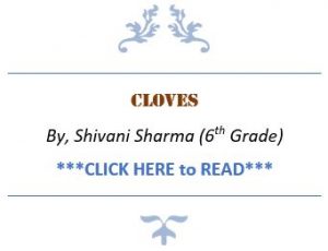 Cloves-300x230