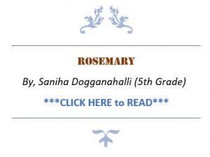 Rosemary-300x225