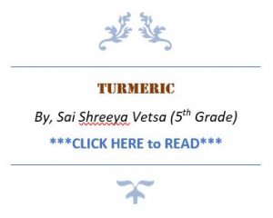 Turmeric-300x240